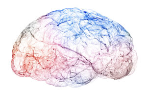 Illustrationsbild på en hjärna i olika nyanser av rosa, blå och lila.