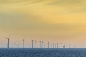 Vy över havet med flertalet vindkraftverk och en himmel som är gul.